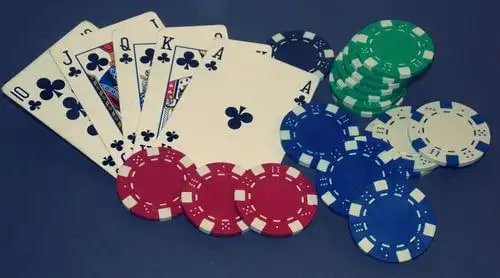 Neon Bet Now screen for bed 2024 Bangladesh adult users